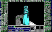 Zeliard for IBM PC/Compatibles - The princess has been turned to stone.