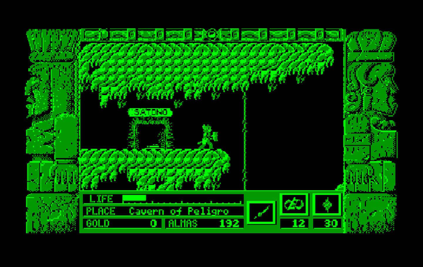 Zeliard IBM PC/Compatibles Screenshot: Entrance to a town.