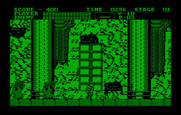 Castlevania for IBM PC/Compatibles - Watch out for ghosts!