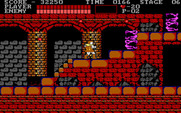 Castlevania for IBM PC/Compatibles - Skulls block the path.