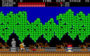 Castlevania for IBM PC/Compatibles - Collect hearts for bonus points.