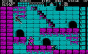 Castlevania for IBM PC/Compatibles - Watch out for that skeleton.