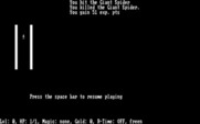 Caverns of Zoarre for IBM PC/Compatibles - One giant spider is dead...