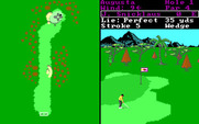 World Tour Golf for IBM PC/Compatibles - Near the green.