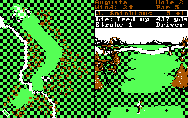World Tour Golf IBM PC/Compatibles Screenshot: Second hole at Augusta National.