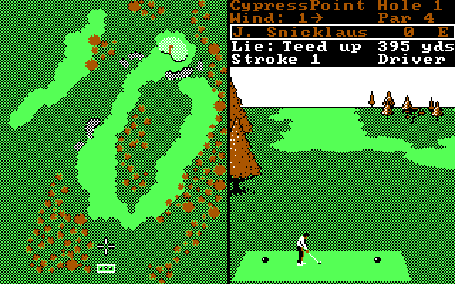 World Tour Golf IBM PC/Compatibles Screenshot: Ready to tee off?