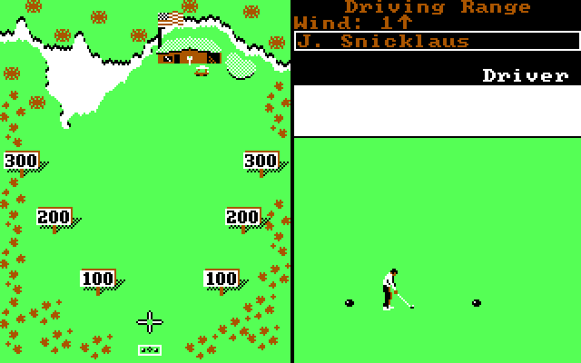 World Tour Golf IBM PC/Compatibles Screenshot: Practice at the driving range.