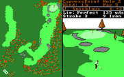 World Tour Golf for IBM PC/Compatibles - Near the green.