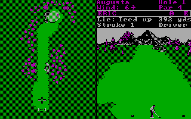 World Tour Golf IBM PC/Compatibles Screenshot: Ready to tee off!