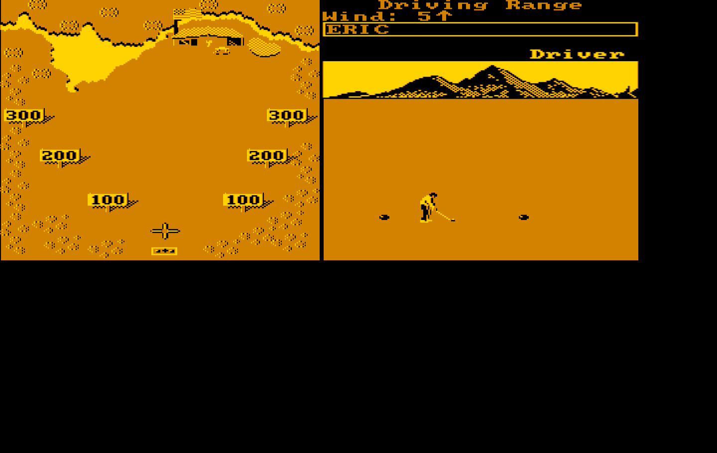 World Tour Golf IBM PC/Compatibles Screenshot: Practice at the driving range.