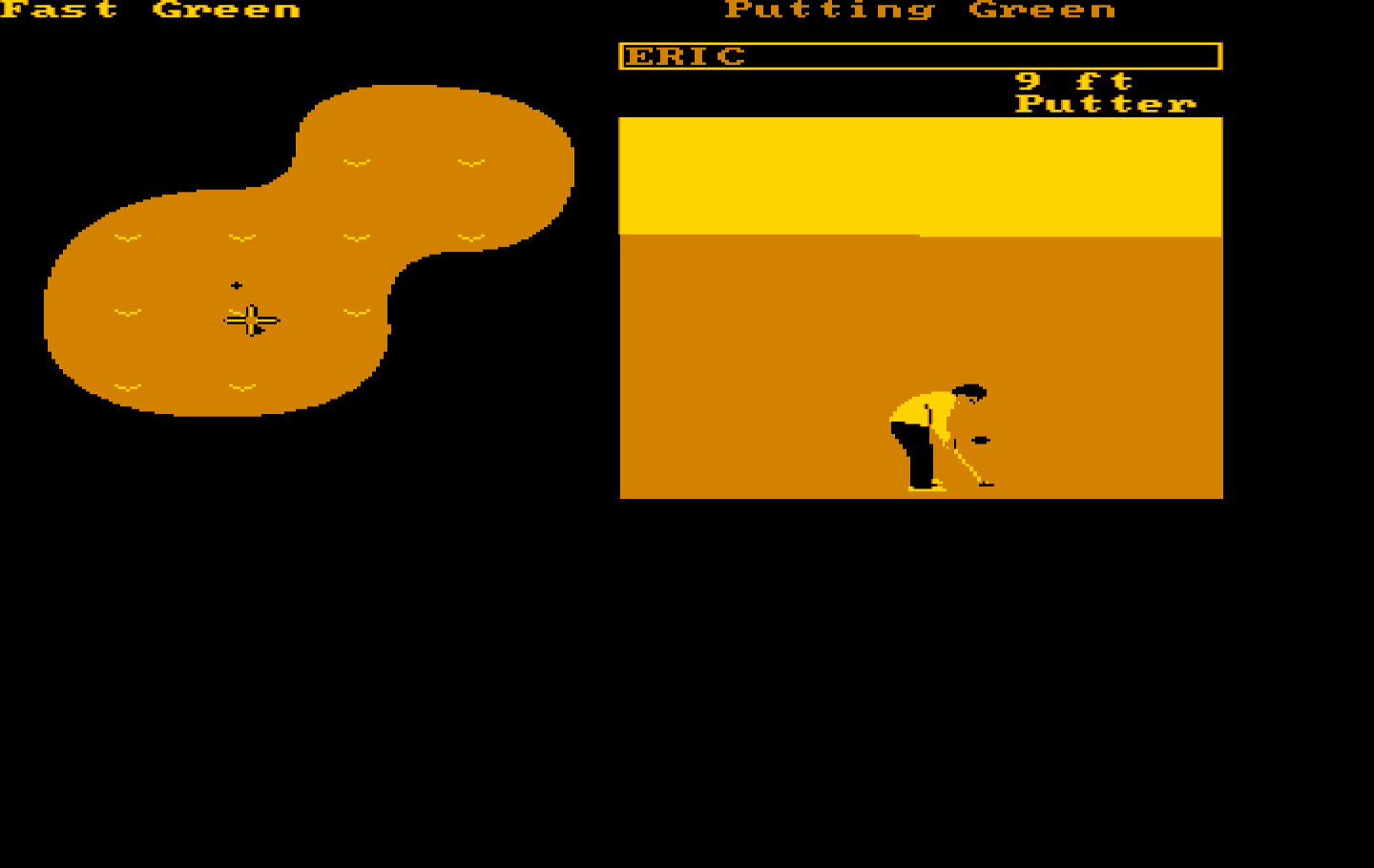 World Tour Golf IBM PC/Compatibles Screenshot: Practice putting.