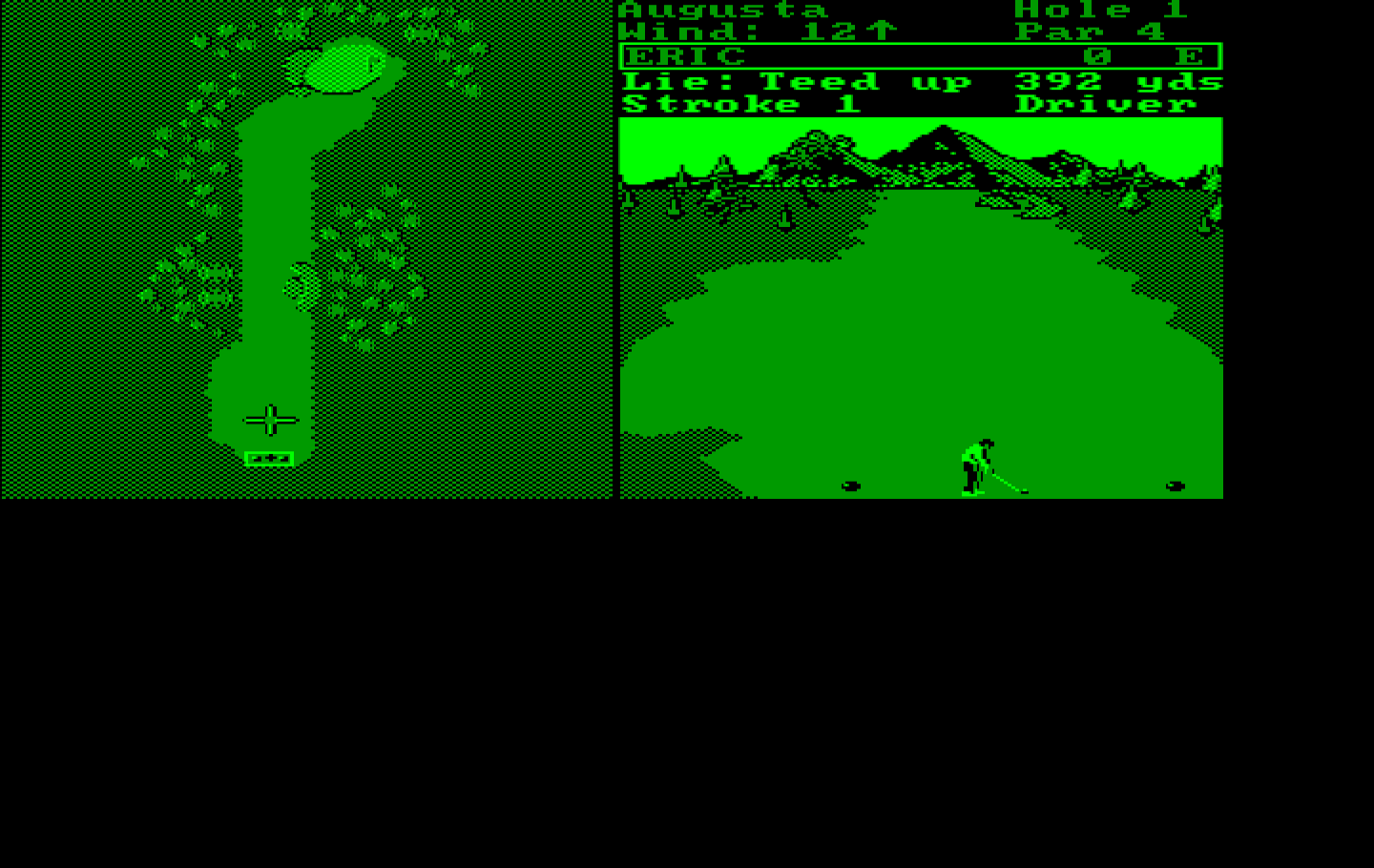 World Tour Golf IBM PC/Compatibles Screenshot: Ready to tee off!
