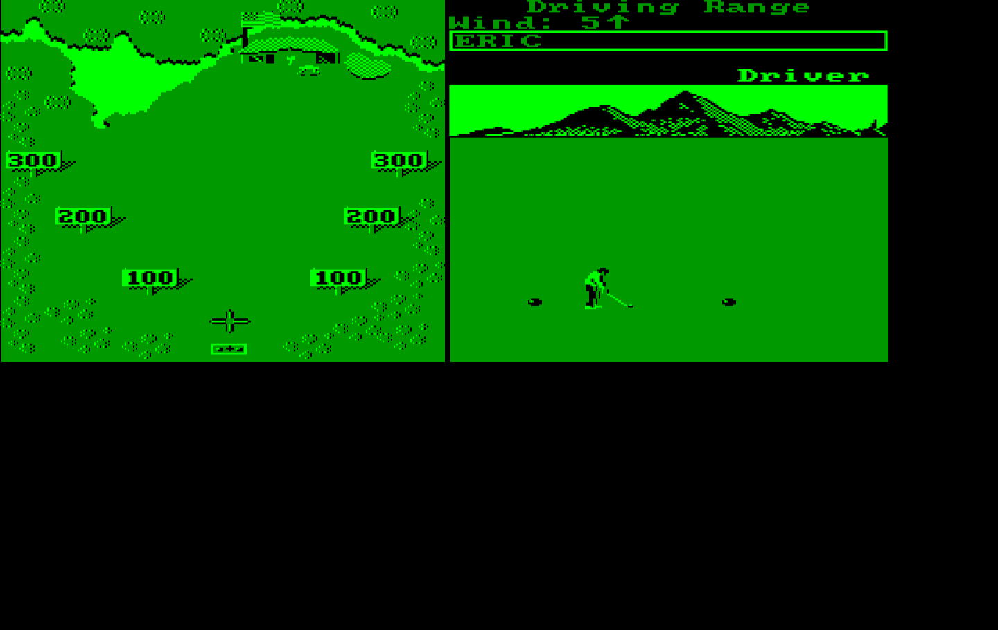 World Tour Golf IBM PC/Compatibles Screenshot: Practice at the driving range.