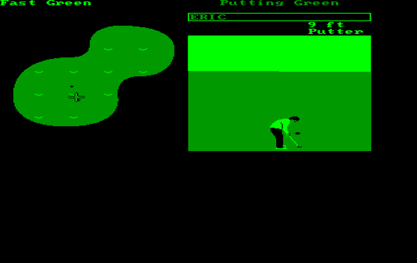 World Tour Golf IBM PC/Compatibles Screenshot: Practice putting.