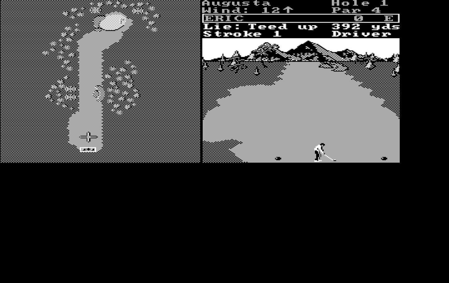 World Tour Golf IBM PC/Compatibles Screenshot: Ready to tee off!