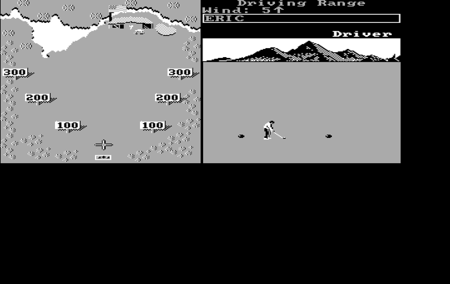 World Tour Golf IBM PC/Compatibles Screenshot: Practice at the driving range.