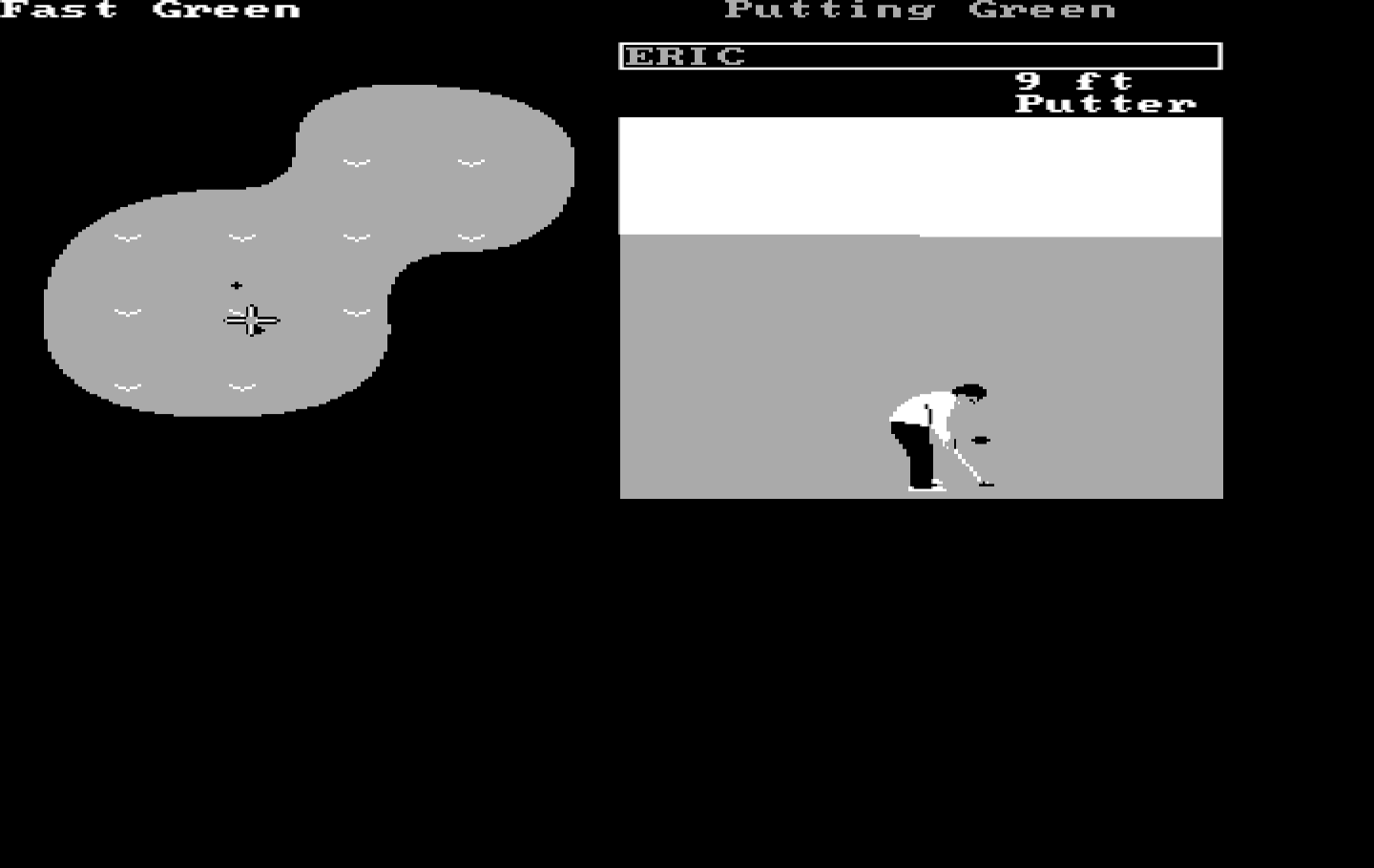 World Tour Golf IBM PC/Compatibles Screenshot: Practice putting.