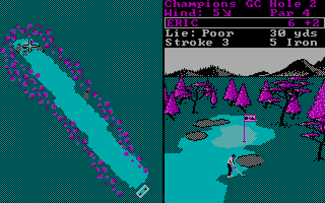 World Tour Golf IBM PC/Compatibles Screenshot: Near the green.