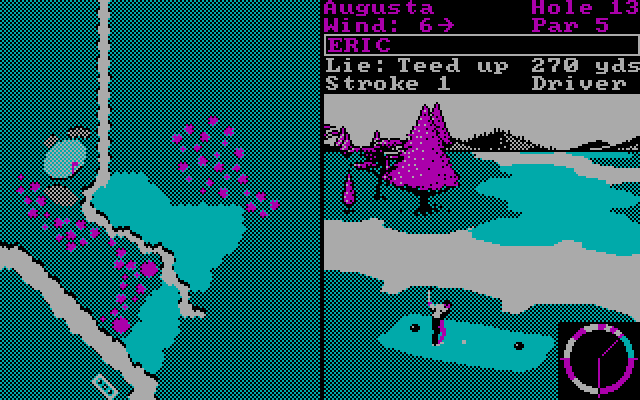 World Tour Golf IBM PC/Compatibles Screenshot: A tricky par 5...