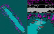 World Tour Golf for IBM PC/Compatibles - Near the green.