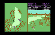 World Tour Golf for Commodore 64 - In the trees again.