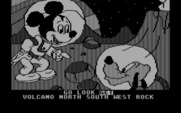 Mickey's Space Adventure for IBM PC/Compatibles - This rock might be handy...