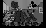 Mickey's Space Adventure for IBM PC/Compatibles - Looks like a fine vegetable garden...
