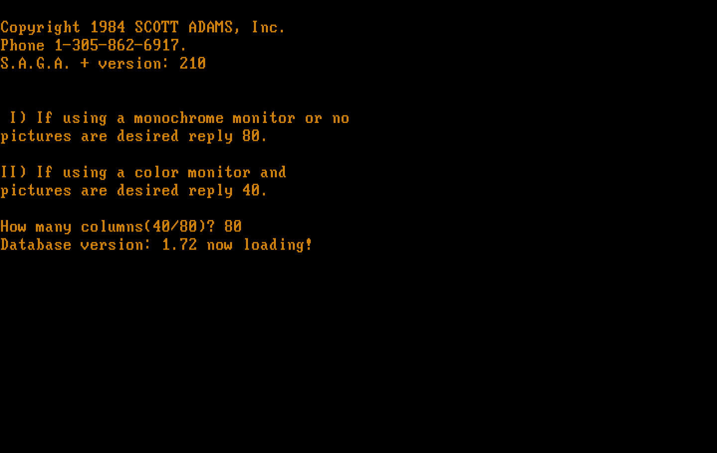 Questprobe featuring Human Torch and the Thing IBM PC/Compatibles Screenshot: Program start; do you want pictures?