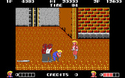 Double Dragon for IBM PC/Compatibles - Some tough characters...