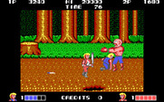 Double Dragon for IBM PC/Compatibles - This opponent is large and packs a mean punch...