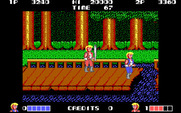 Double Dragon for IBM PC/Compatibles - Don't fall into the water...
