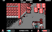 Double Dragon for IBM PC/Compatibles - I now have a baseball bat to attack with...
