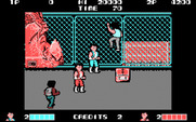 Double Dragon for IBM PC/Compatibles - Start of Mission 2...