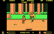 Double Dragon for IBM PC/Compatibles - Some opponents are larger than others...
