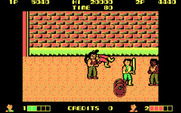 Double Dragon for IBM PC/Compatibles - Ouch, I've been knocked down!