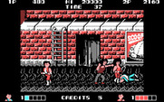 Double Dragon for IBM PC/Compatibles - Ouch, I've been knocked down...