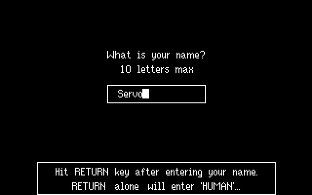 Backgammon Version 5.0 IBM PC/Compatibles Screenshot: Setting up a new game.