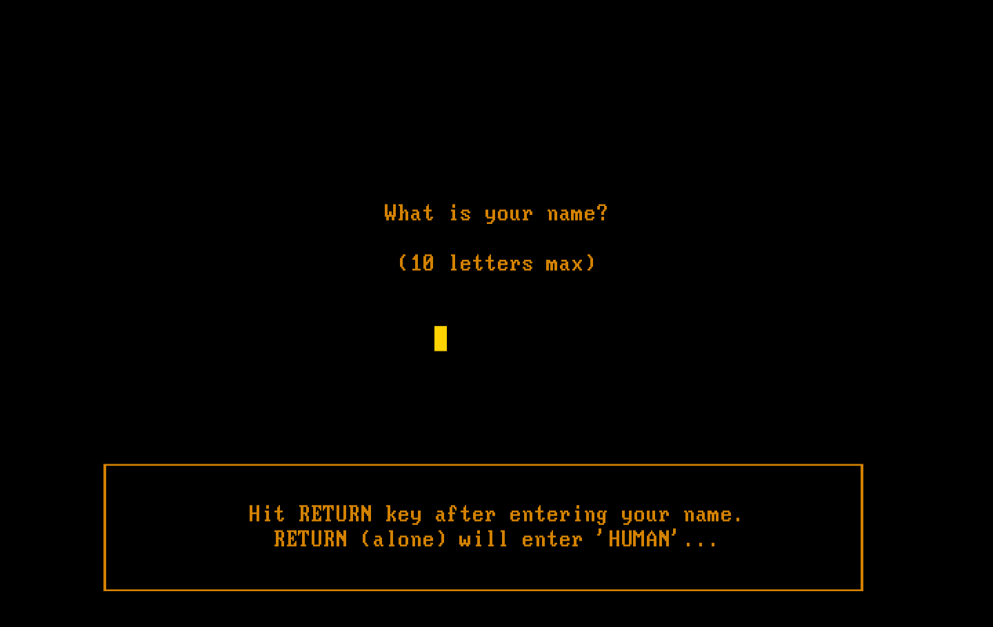 Backgammon Version 5.0 IBM PC/Compatibles Screenshot: First, what's your name?