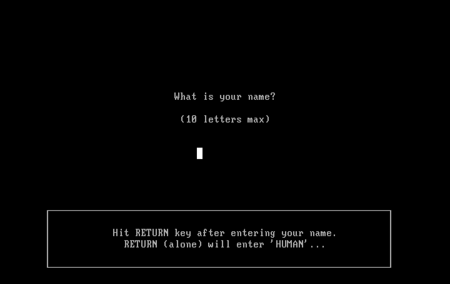 Backgammon Version 5.0 IBM PC/Compatibles Screenshot: First, what's your name?