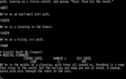 Cyborg for IBM PC/Compatibles - In the middle of a clearing...