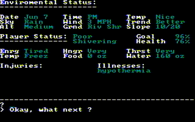 Wilderness: A Survival Adventure IBM PC/Compatibles Screenshot: Checking my status...