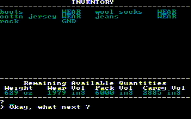 Wilderness: A Survival Adventure IBM PC/Compatibles Screenshot: Inventory screen.