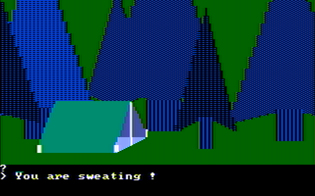 Wilderness: A Survival Adventure IBM PC/Compatibles Screenshot: Set up camp to rest a bit.
