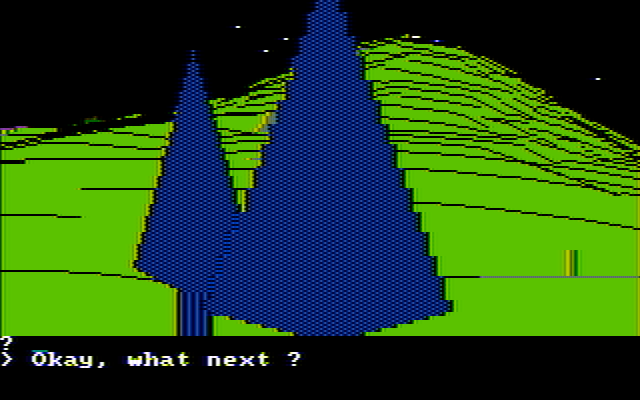 Wilderness: A Survival Adventure IBM PC/Compatibles Screenshot: It's now night...what do you want to do?