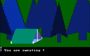 Wilderness: A Survival Adventure for IBM PC/Compatibles - Set up camp to rest a bit.