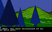Wilderness: A Survival Adventure for IBM PC/Compatibles - Ah, I discovered some food!