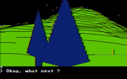 Wilderness: A Survival Adventure for IBM PC/Compatibles - It's now night...what do you want to do?