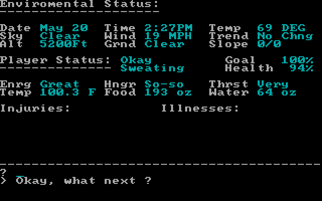 Wilderness: A Survival Adventure IBM PC/Compatibles Screenshot: Checking my status...