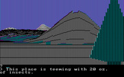 Wilderness: A Survival Adventure for IBM PC/Compatibles - There are a lot of insects here!