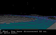 Wilderness: A Survival Adventure for IBM PC/Compatibles - Traveling at night, but I found some food!